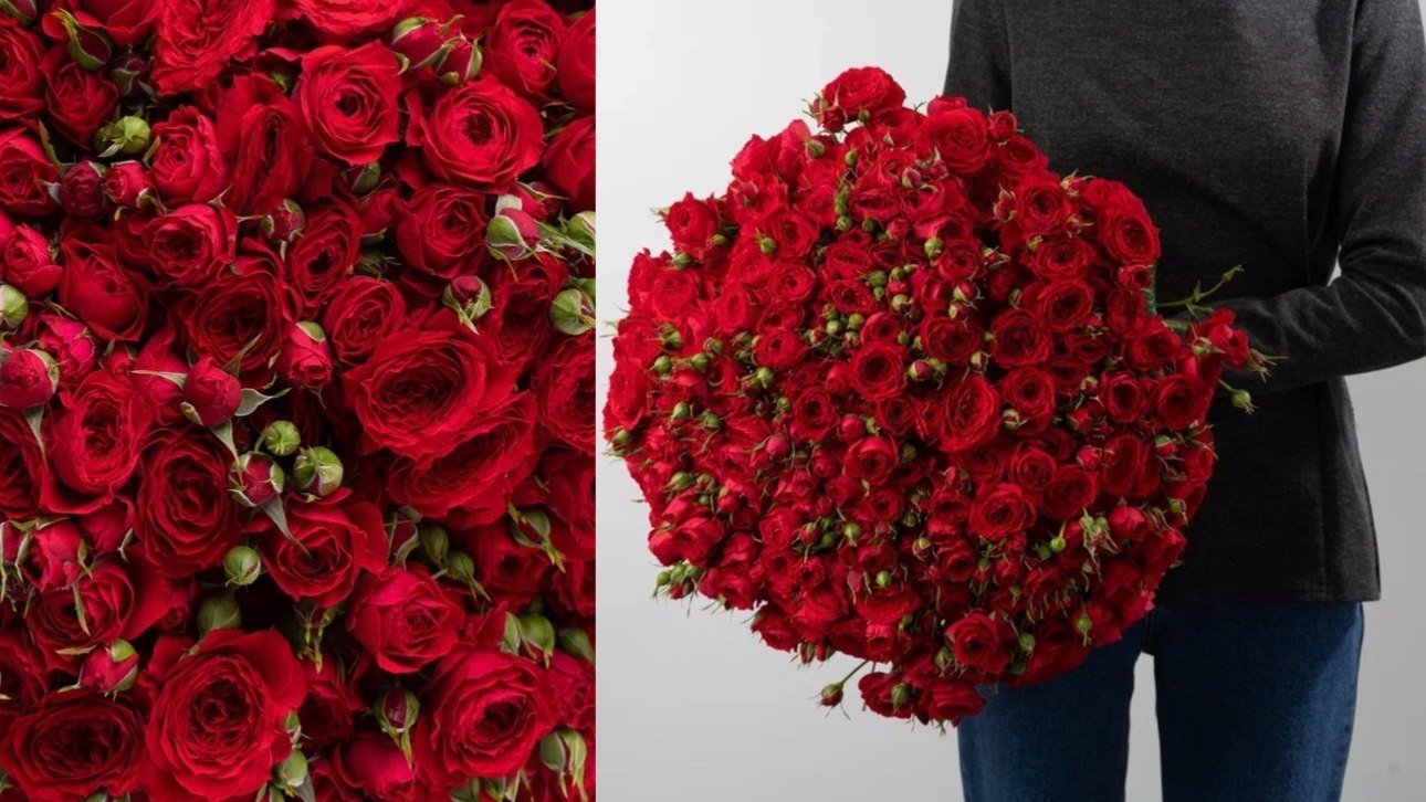 Moulen Rose | Цветы | Красноярск