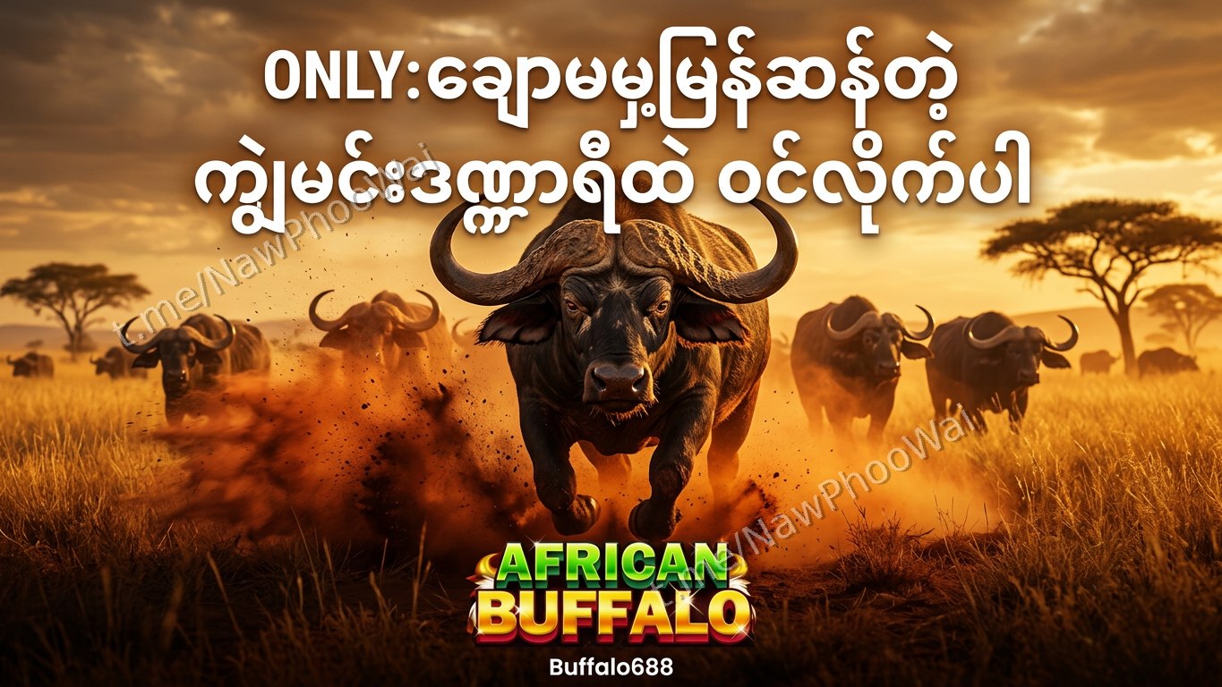 ⏰ ကျွဲဂိမ်း - နော်ဖူးဝေ 24 နာရီဝန်ဆောင်မှု