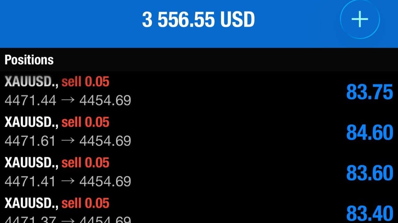 DAILY GOLD SIGNALS