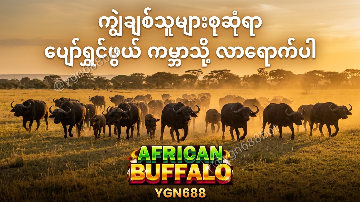 YGN688 - အော်တိုတိုက်ရိုက်ဂိမ်းဆိုက်