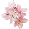 💐