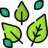 🍃