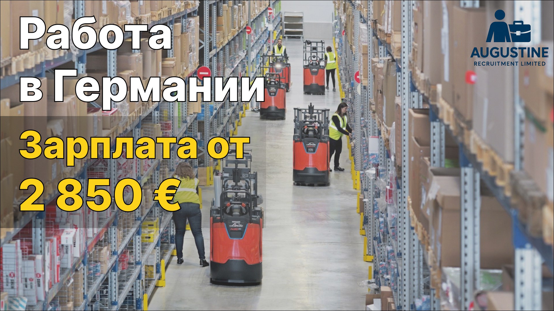 Лыткин Всеволод | Работа в Германии