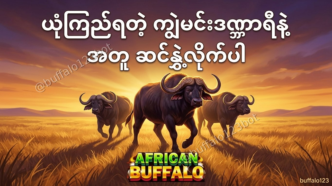 ကျွဲဂိမ်း Buffalo123 Official