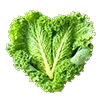 🥬