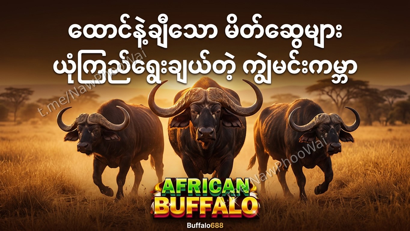 ⏰ ကျွဲဂိမ်း - နော်ဖူးဝေ 24 နာရီဝန်ဆောင်မှု