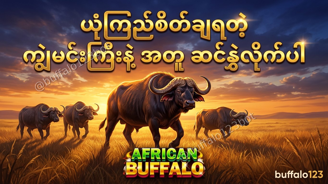 ကျွဲဂိမ်း Buffalo123 Official