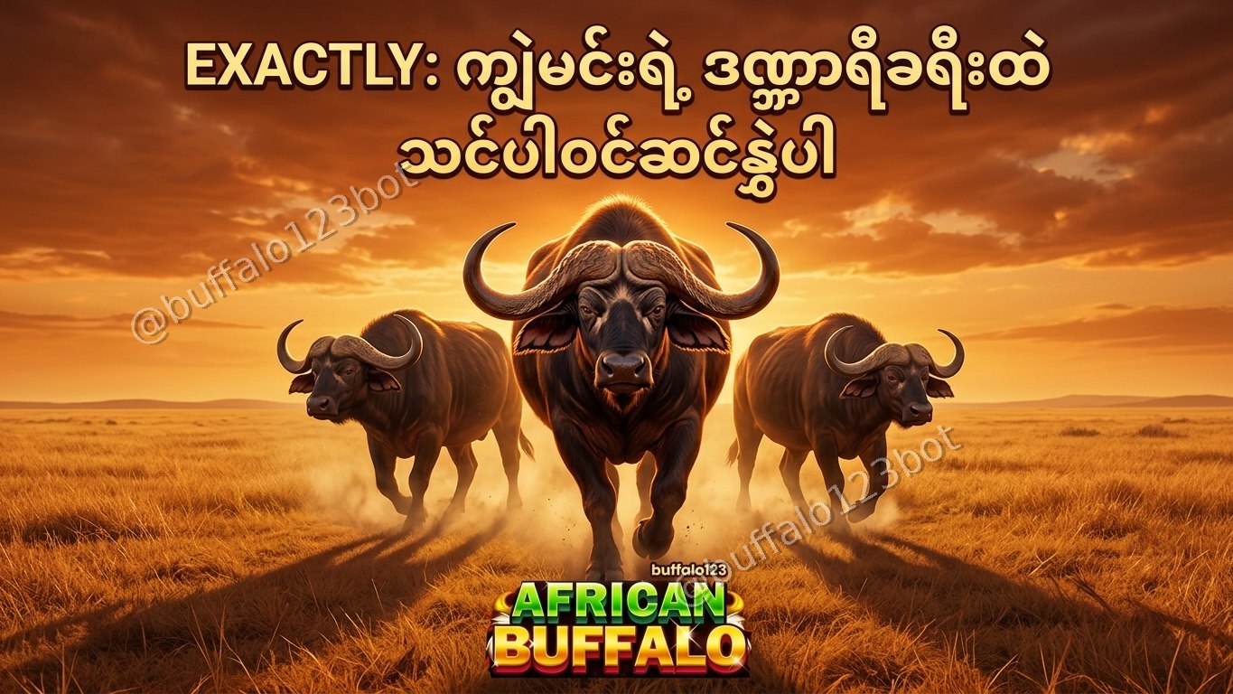 ကျွဲဂိမ်း Buffalo123 Official
