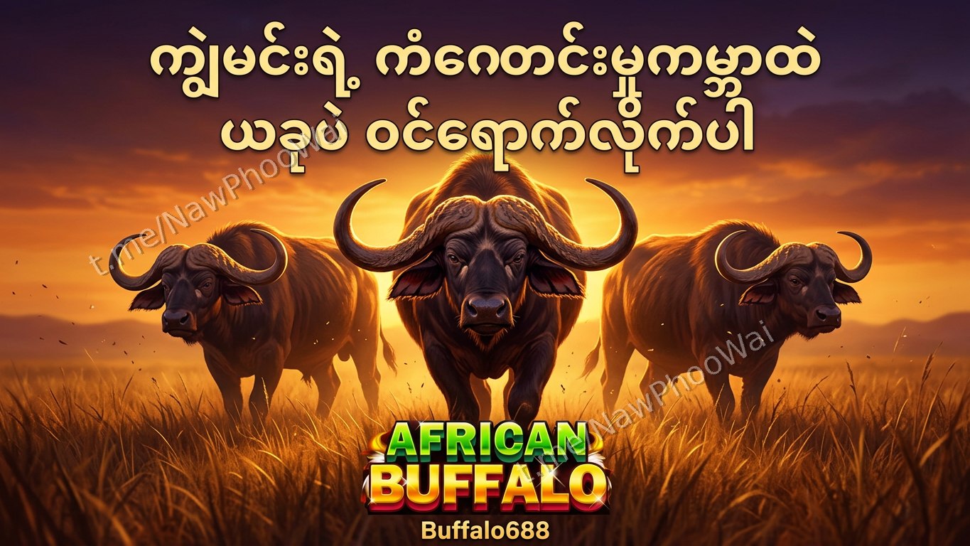 ⏰ ကျွဲဂိမ်း - နော်ဖူးဝေ 24 နာရီဝန်ဆောင်မှု