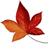 🍁