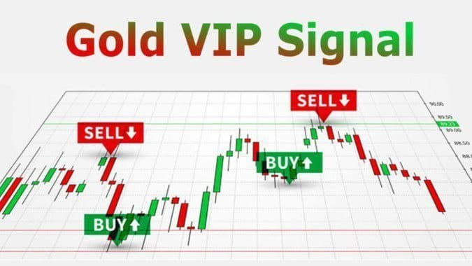 𝗚𝗢𝗟𝗗 𝗩𝗜𝗣 𝗦𝗜𝗚𝗡𝗔𝗟🤑